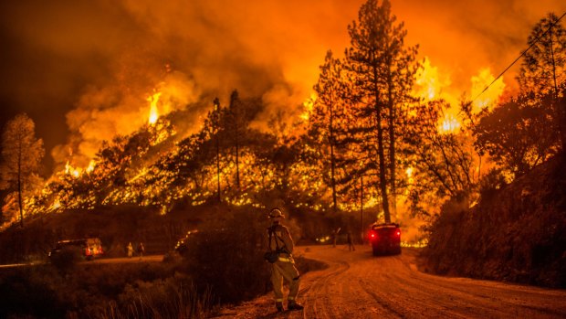 Wildfires and drought have been widespread across the western US this northern summer.
