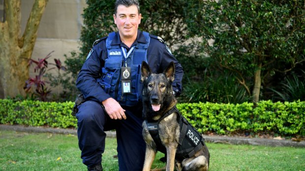 Queensland Police Acting Senior Sergeant Trevor O'Neil with police dog Kaleb.