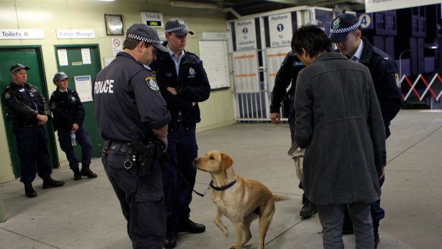Not always accurate: Police sniffer dogs at work at St Peters station.