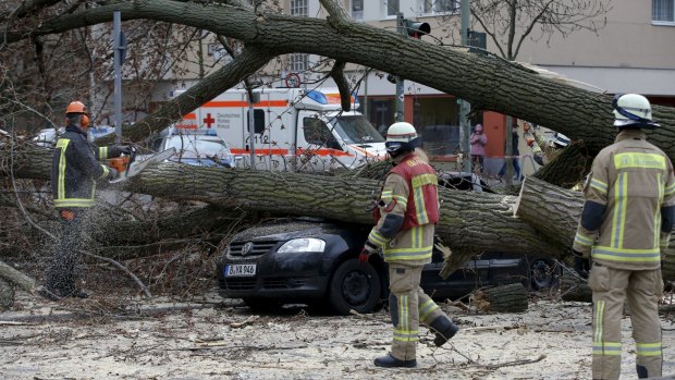 Firefighters remove parts of a tree from a street at Wedding district as Storm Niklas strikes in Berlin.