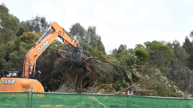 The bulldozers move in at Beverley Grove, Kingsgrove as protesters seek to save Wolli Creek bushland. 