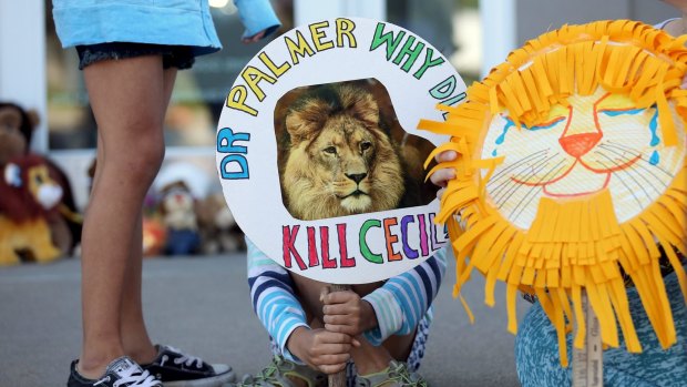 Piper Hoppe, 10, from Minnesota, in the US, protests against the killing of Cecil, Zimbabwe's best-known lion.