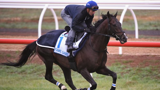 On Saturday, Fame Game made a controversial Australian debut in the Caulfield Cup.