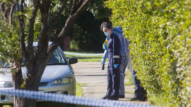 Forensics police on Waratah Street in Doveton where the siege unfolded.