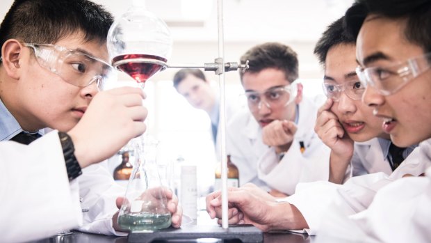 Some of the year 11 boys at Sydney Grammar School who have made an anti-malarial drug for $2 a dose.