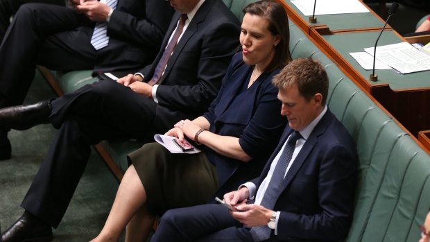 Cabinet minister Kelly O'Dwyer has been blamed for the bungle.