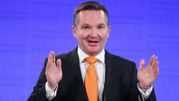 Shadow treasurer Chris Bowen said a price on carbon remained central to Labor's platform.