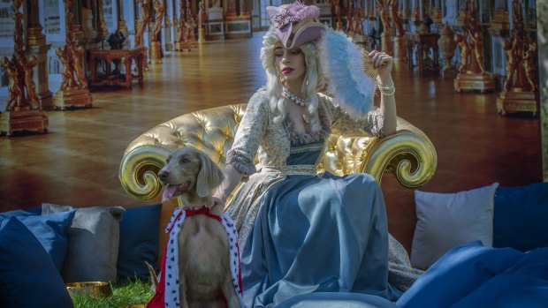 Marie Antoinette (aka Claire Mackey) and Stella dress up in preview for the NGA's Paws for Art event on Jan 21. 