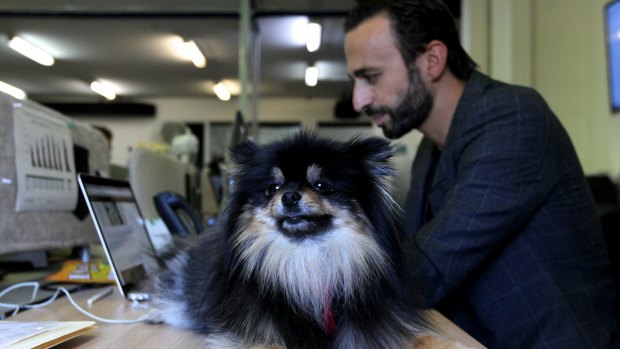 CEO Patrick Schmidt at The Iconic offices with one of his employee's dogs.
