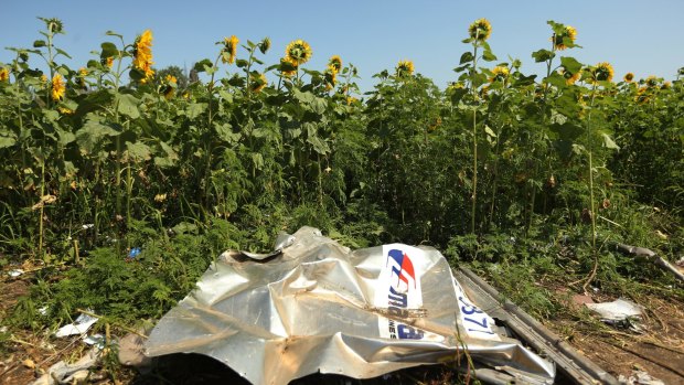 Atrocity: Plane debris from the MH17 sits among sunflowers in a field in Ukraine's Donetsk province. Fairfax journalist Paul McGeough and photographer Kate Geraghty went to the crash site at dawn to quietly collect seeds from sunflowers to smuggle them back to Australia.