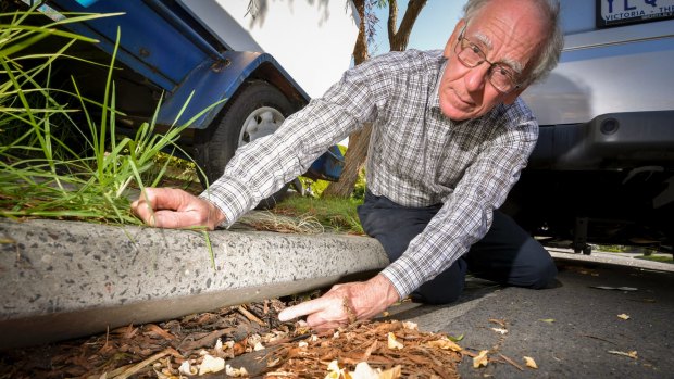 Mr Testa points to a completely blocked drain in his Templestowe street. 