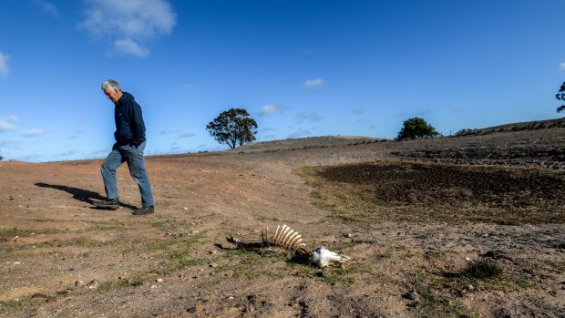 Goldman Sachs says we are underestimating the economic effects of El Nino and drought. 