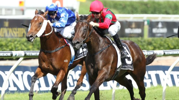 Looking for the double: Whispered Secret winning the Fernhill Handicap at Randwick last week.