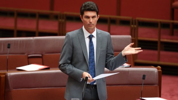 Green Senator Scott Ludlam.