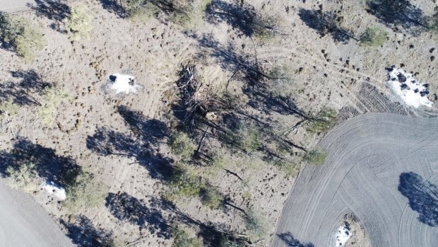 Land-clearing north of Moree in NSW. 