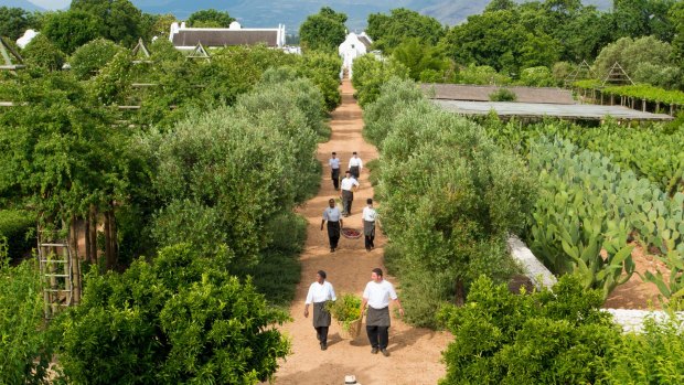 Where to eat and drink in South Africa's wine country