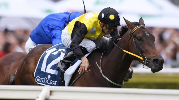 Primed: Corey Brown kicks In Her Time in the Sydney Stakes last month.