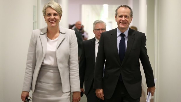 Labor's Tanya Plibersek and Bill Shorten are expected to oppose the government's planned plebiscite.
