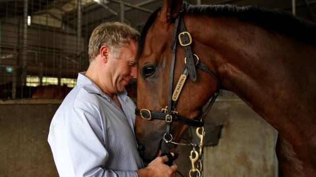 Special bond: Tim Martin and "tough old horse" Hunter Jack.