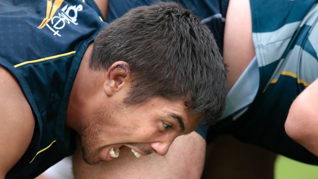 Jarrad Butler embracing the challenge of being in the middle of a Wallabies showdown.