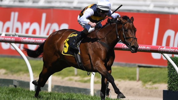 Emerging star: Aloisia takes out last month's  Thousand Guineas at Caulfield.