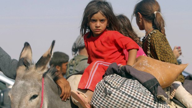 Displaced Yazidi children ride a donkey to the Syrian border.