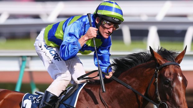 Sydney rebound?: Damien Oliver will be hoping to steer Jameka to success in the Australian Oaks.