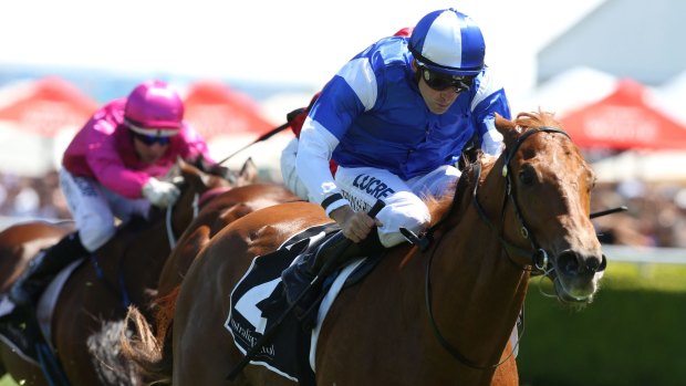 Go one better: Scone Cup runner-up Frespanol is in action for Waterhouse on Saturday.