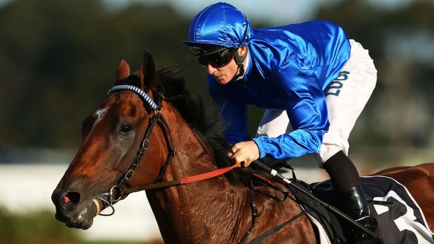 Winter wonder: Can Hauraki be a factor during the Queensland carnival?