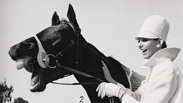 No laughing matter: Bart Cummings' Big Philou was nobbled in the lead-up to the 1969 Melbourne Cup.