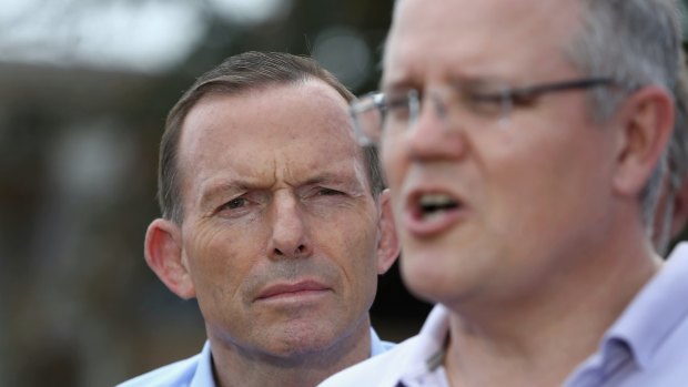 Scott Morrison's actions before the coup against Tony Abbott have come under scrutiny.