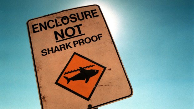 A GBRMPA spokesman said the authority was "aware of alleged discrepancies between the numbers of permitted shark control equipment and the installed number".