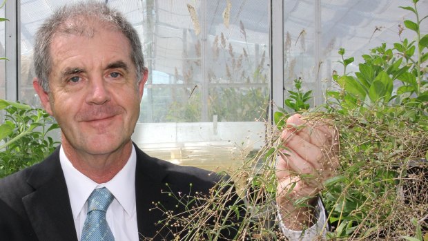 University of Queensland Institute for Molecular Bioscience Professor David Craik is working on growing drugs in plants.