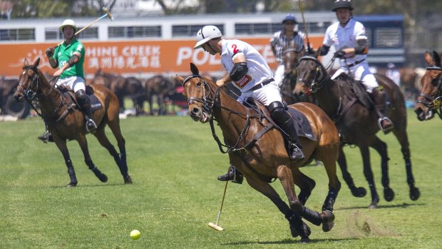 Fast and furious: Polo In The City, Albert Park. 