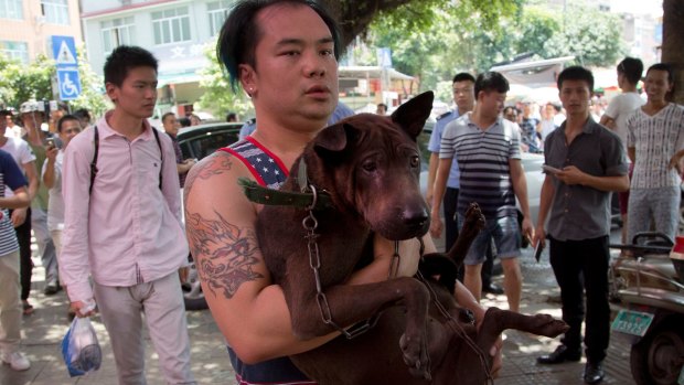 An activist, carrying a dog that he bought from a dog seller, leaves a market during a dog meat festival in Yulin in 2016.