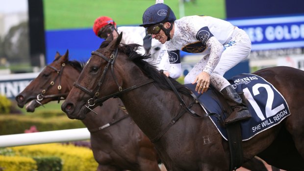 Pin-up girl: Punters continue to back The Everest favourite She Will Reign.