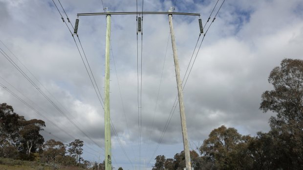 Power lines in Ainslie: ActewAGL's network spending cut means lower power bills.