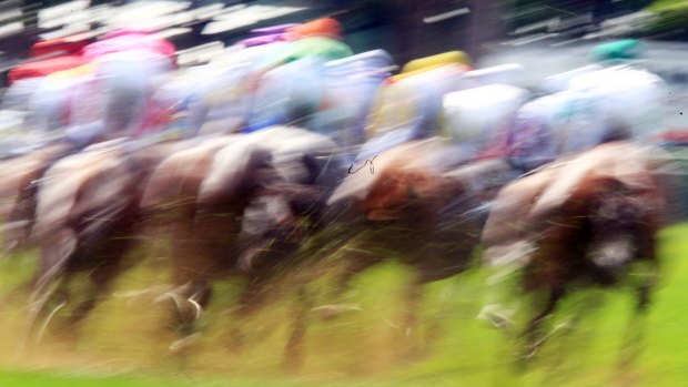 Plans well advanced: Racing NSW is working on introducing equine biological passports.
