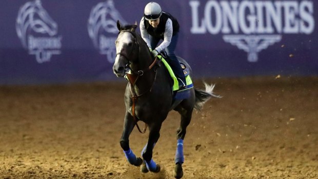 Chosen one: Former champion US horse Arrogate will have the mighty mare Songbird among his first book of broodmares in 2018.