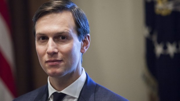 The volume of questions about Jared Kushner in their interviews surprised some witnesses.