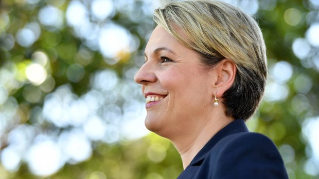 Acting Opposition Leader Tanya Plibersek says there may be people with vested interests who could challenge government decisions in the courts.