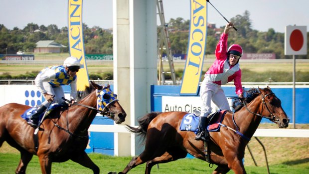 Perth's Ascot is set to break a long-held racing taboo. 
