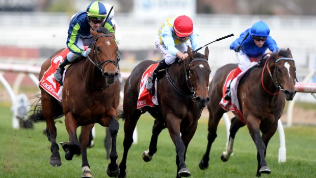 Unbeaten: Merchant Navy is heading to the Golden Rose after winning the McNeil Stakes at Caulfield.