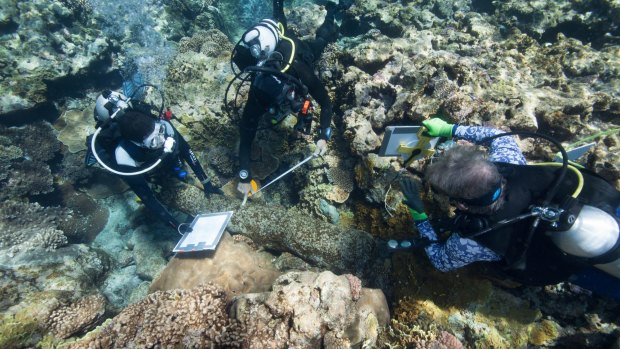 Maritime archaeologists Renee Malliaros (left) and Pete Illidge (right) work with team member Lee Graham (centre) to document a cannon at one of the shipwreck sites discovered at Kenn Reefs.