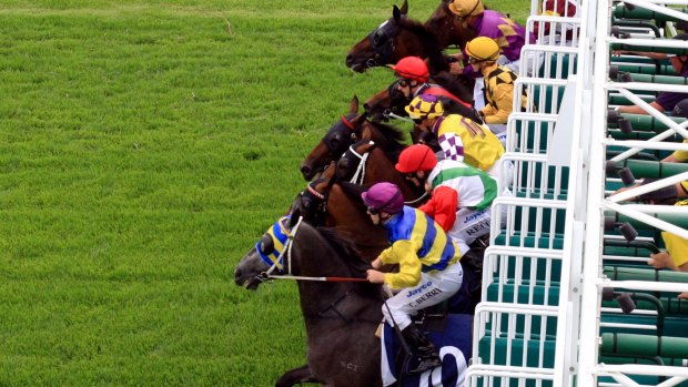 They're off: A colourful barrier rise at Canterbury.