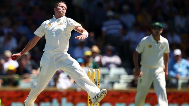 Building steam: Peter Siddle in his delivery stride against the Proteas at the WACA.