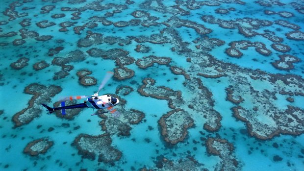 UNESCO has declared the Great Barrier Reef should not be deemed "in danger".