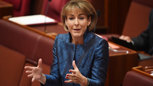 Minister for women Michaelia Cash said public servants have enough access to leave if they are victims of abuse in the home.