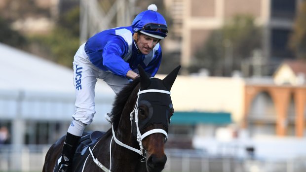 Replacable: Hugh Bowman returns after one of Winx's 22 consecutive wins.