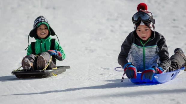 Tobogganing at Thredbo.